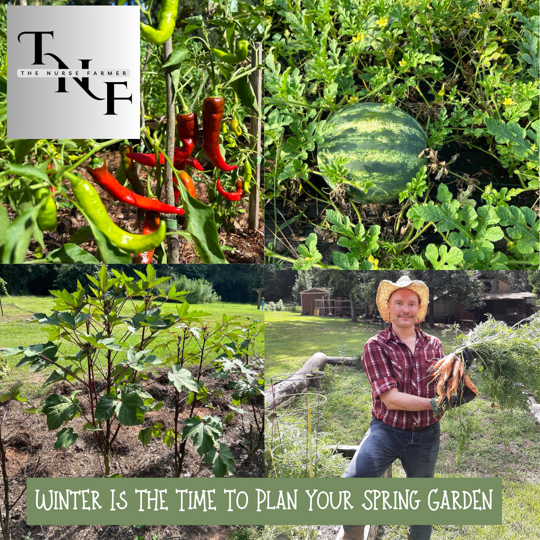 Winter Is The Time To Plan Your Spring Garden