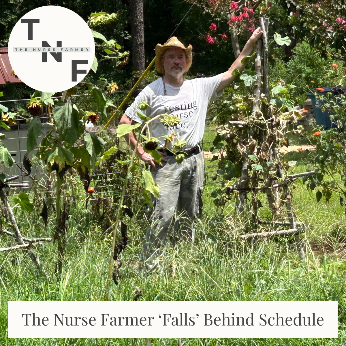 The Nurse Farmer ‘Falls’ Behind Schedule: Preparing for the Autumn Garden
