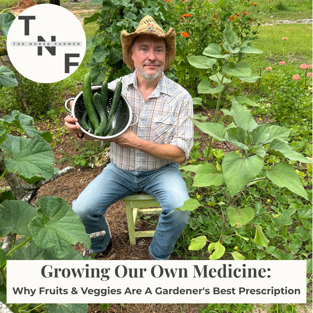 Growing Our Own Medicine: Why Fruits and Veggies are a Gardener’s Best Prescription