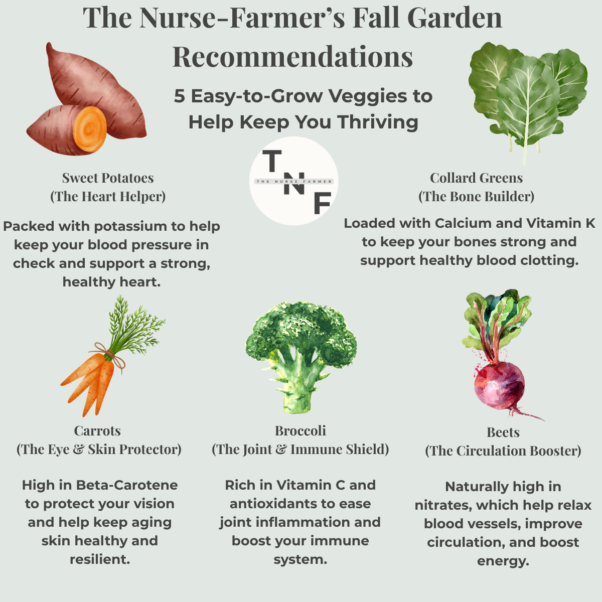 An infographic photo by The Nurse Farmer's recommendation for five easy to grow fall vegetables: Sweet potatoes, collard greens, carrots, broccoli, and beets. Underneath a picture of each vegetable are specific health benefits.