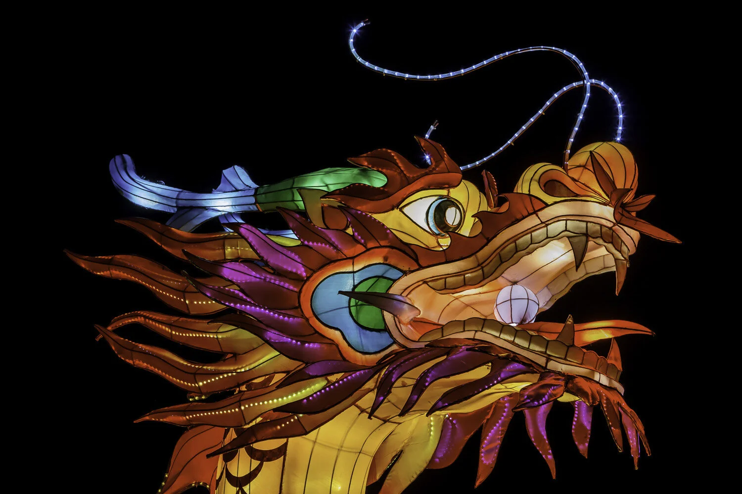 Chinese Lantern Carnival - Melbourne