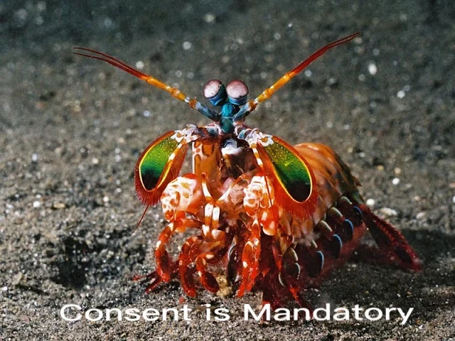 Social-Emotional Learning, Consent, and the Gaming Industry