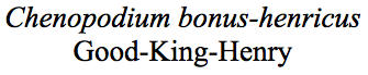 Screen Shot 2018-09-08 at 17.25.15.png