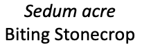 Screenshot 2019-01-13 at 20.04.58.png