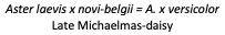 Screenshot 2019-02-03 at 14.58.41.png