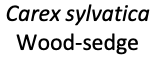 Screenshot 2020-06-13 at 14.25.48.png