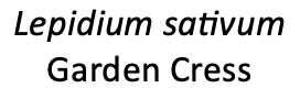 Label.png