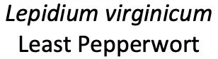 Untitled 2.jpg
