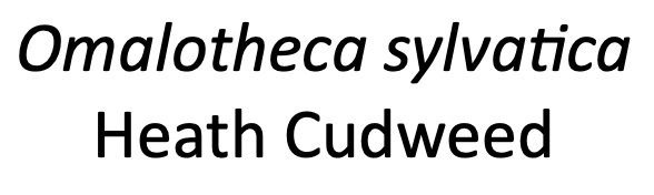 Label 1.png