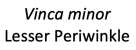 Label 1.png