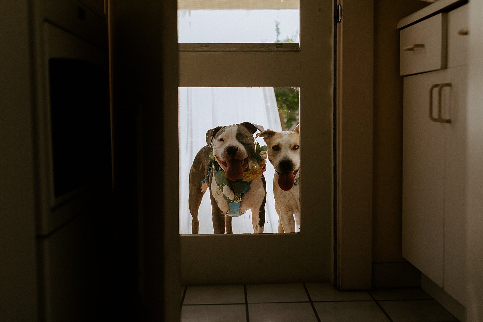 Intimate San Diego Wedding Photography by Carmen Lopez