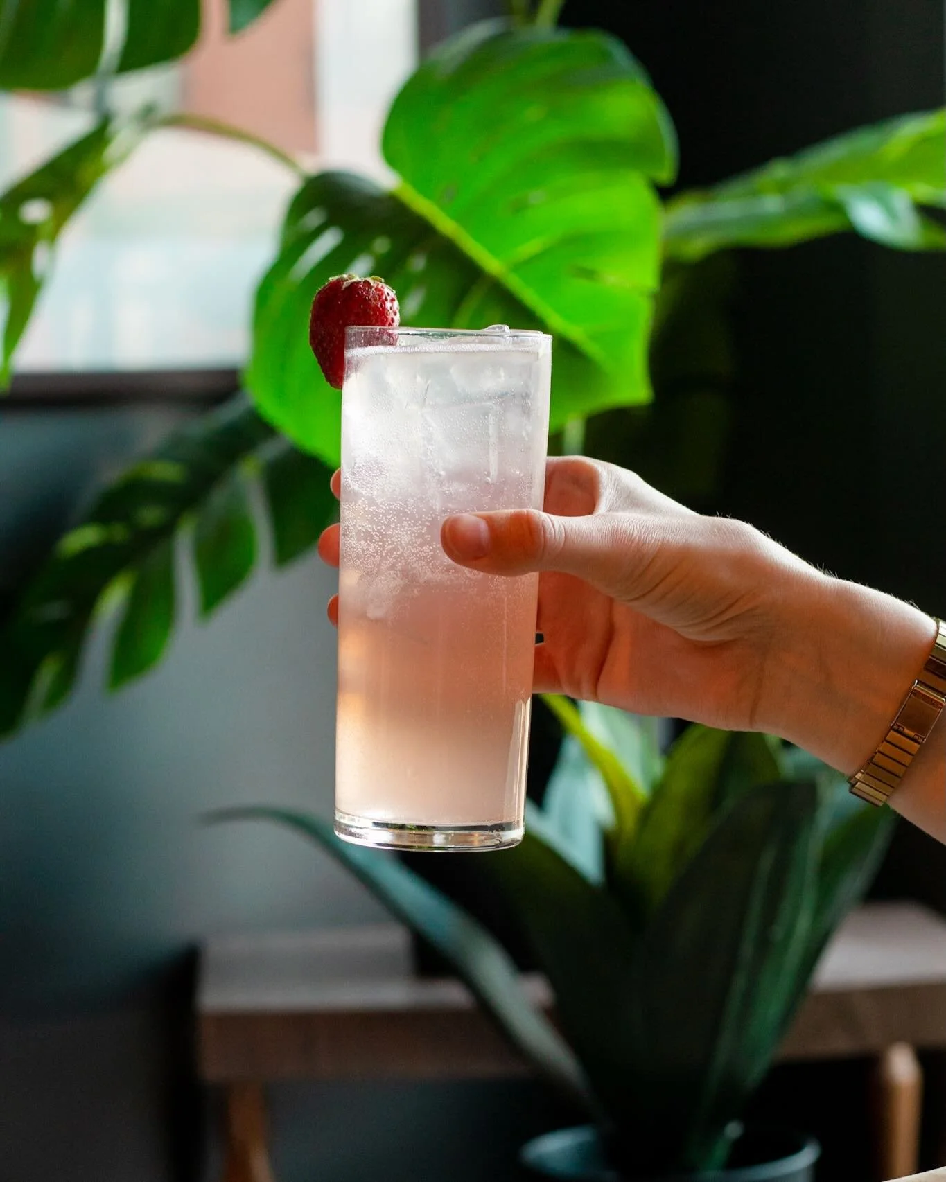 Last chance to try the daliah&rsquo;s garden is THIS WEEKEND 🍓🍑

gin limone / peach liqueur / strawberry syrup / lemon / soda

#thingstodoinottawa #CharlotteOttawa #iknowcharlotte #ottawanightlife #ottawadrinks #Ottawalife #ottawaevents