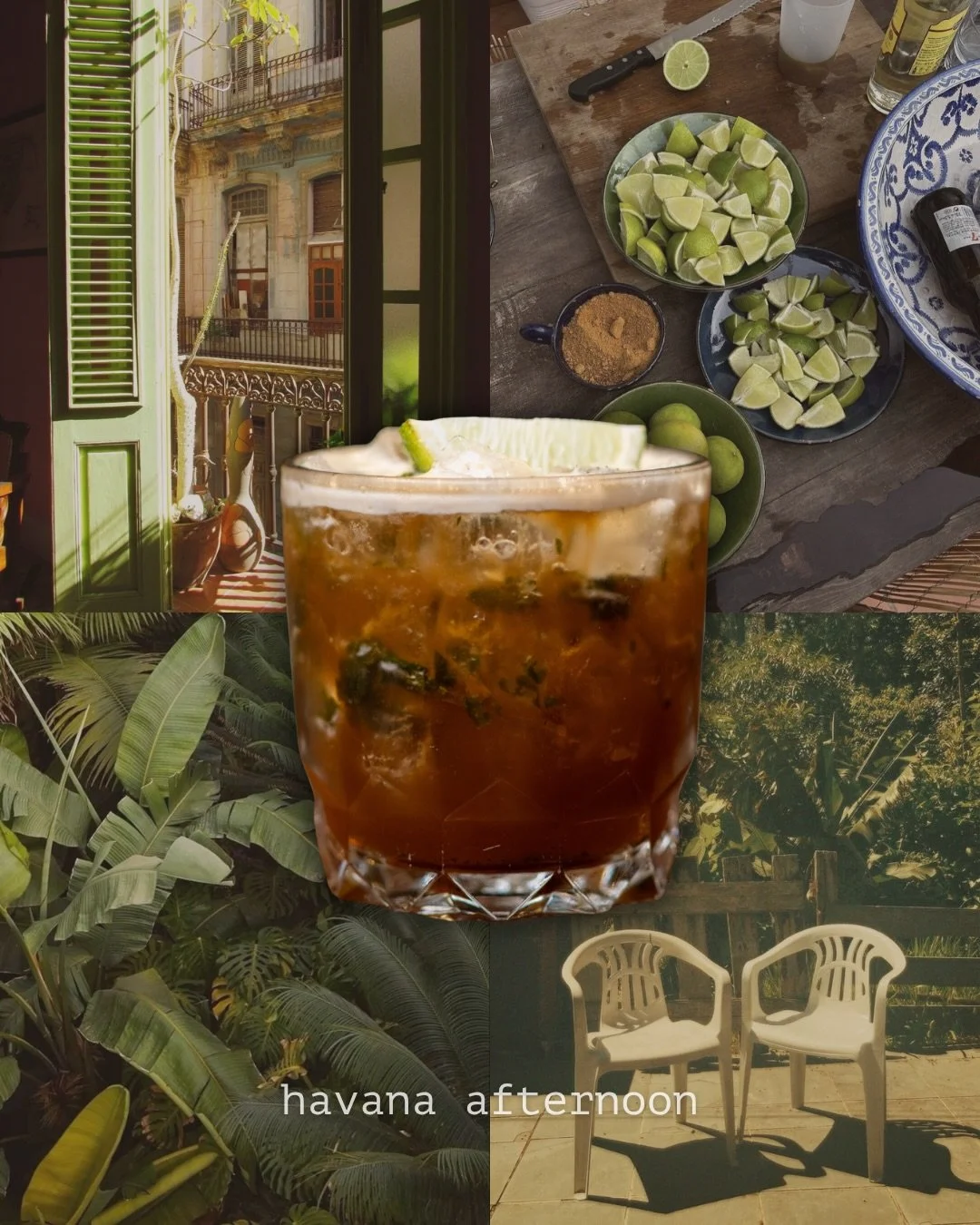 Havana afternoon 🍋&zwj;🟩
 white rum / black rum / averna / demerara syrup / mint / turkish tabacco bitters

now available at charlotte Ottawa <3