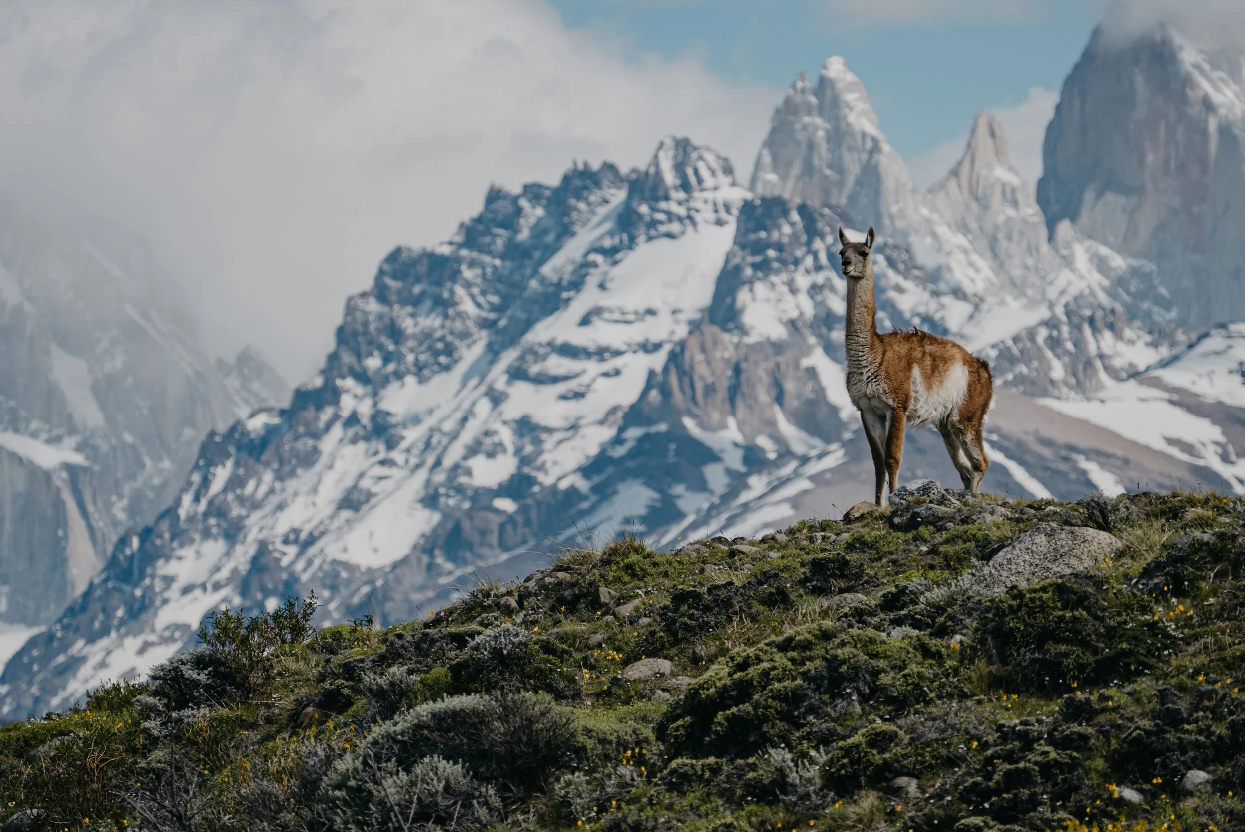 Chile_2023-3_01x 2.jpg