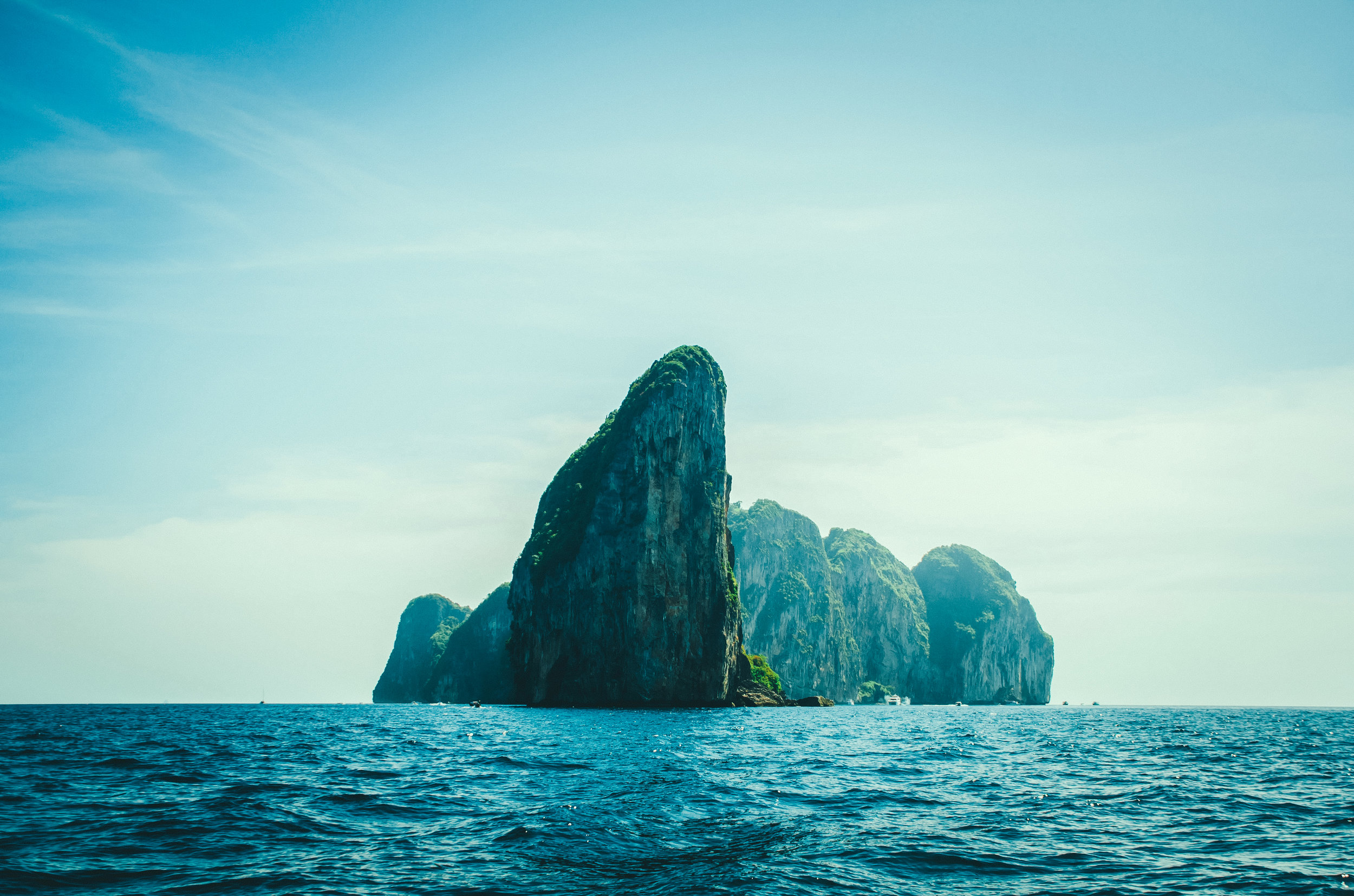 Conservation Focus - Are we headed the right way? 