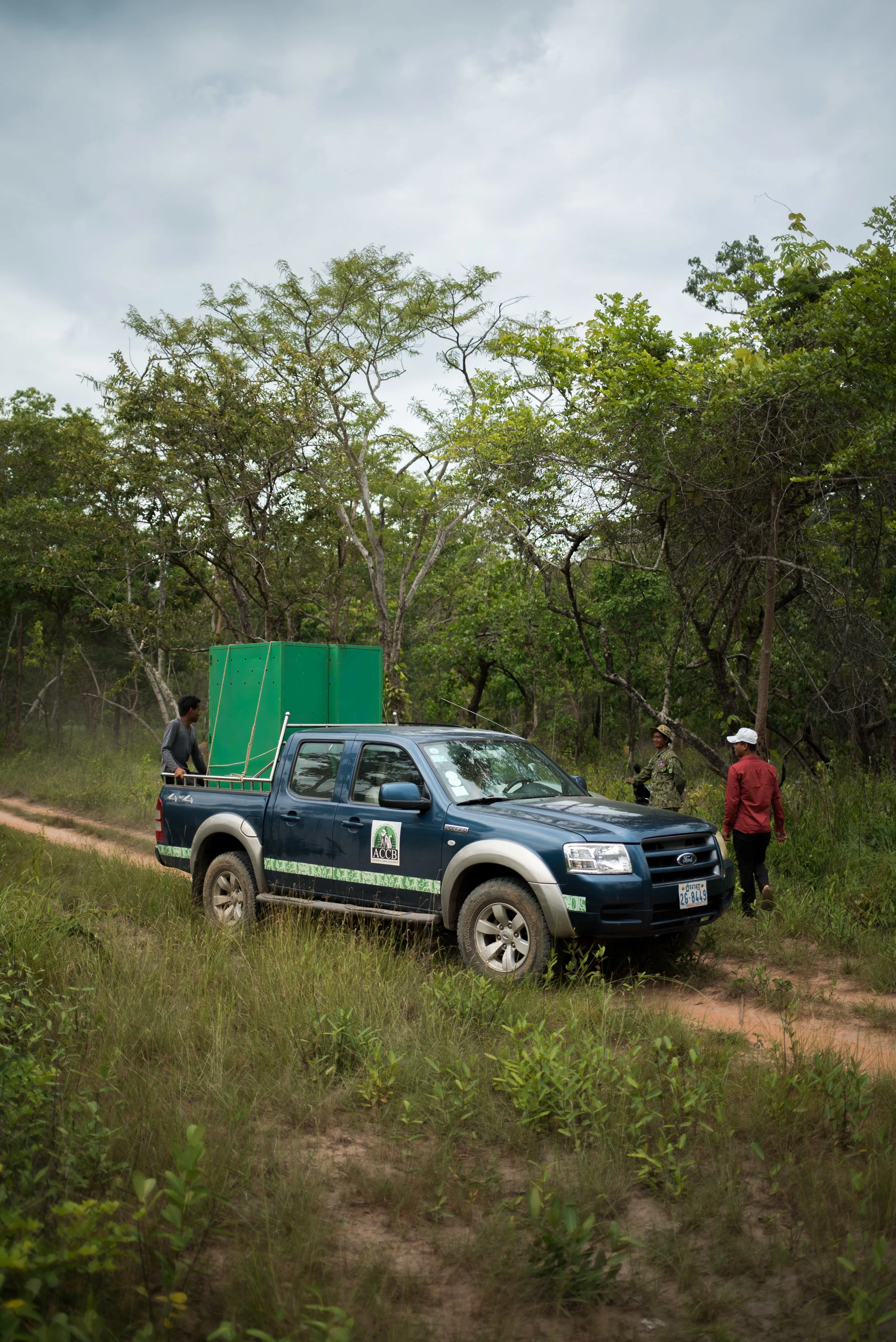 Python & birds release-14.jpg