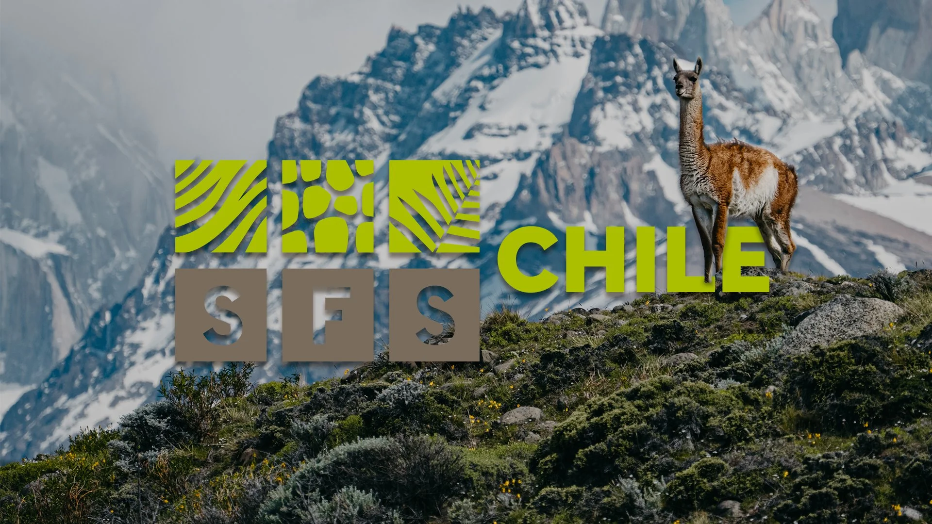 Center for Climate Studies