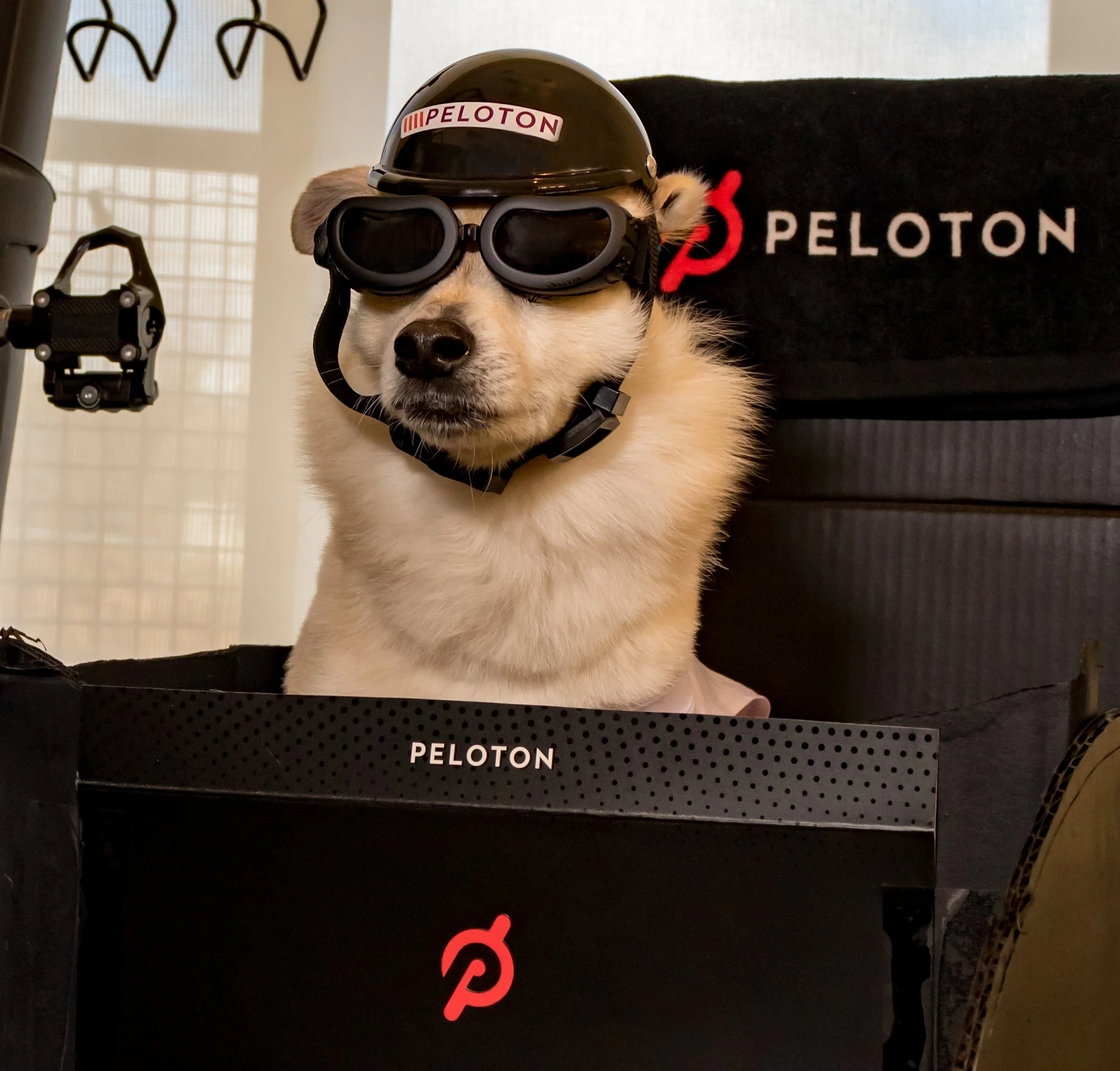 Peloton Sidecar 4.JPG