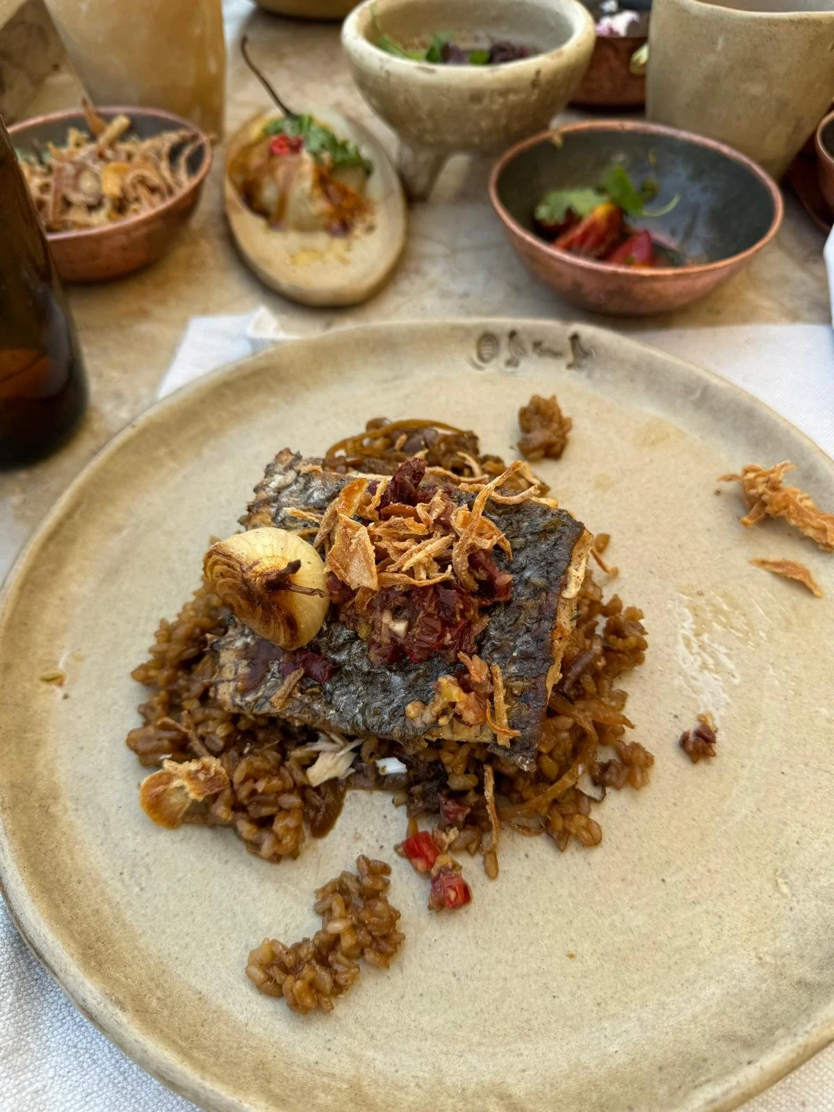 WhatsApp Image 2026-01-02 at 12.48.48 (13).jpeg