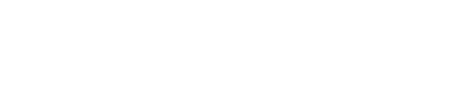 Liz Bapasola & Associates, LLC