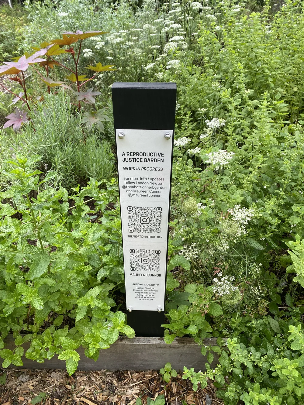 Denniston Hill Abortion Garden  how to perform an abortion