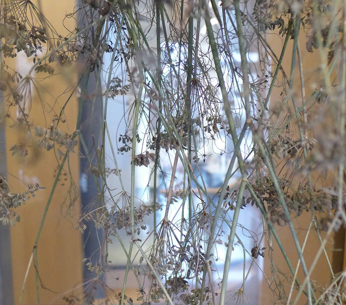 Trigger Planting 2.0