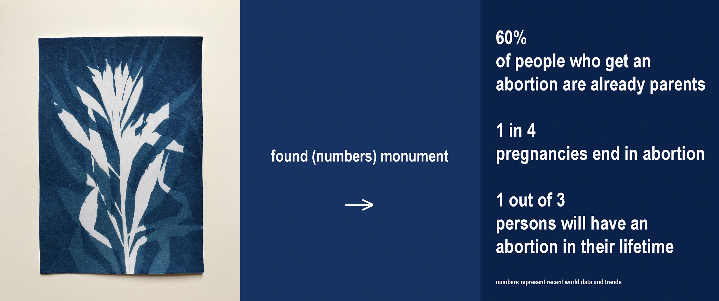 Screen Shot 2024-10-24 at 12.00.26 PM.png