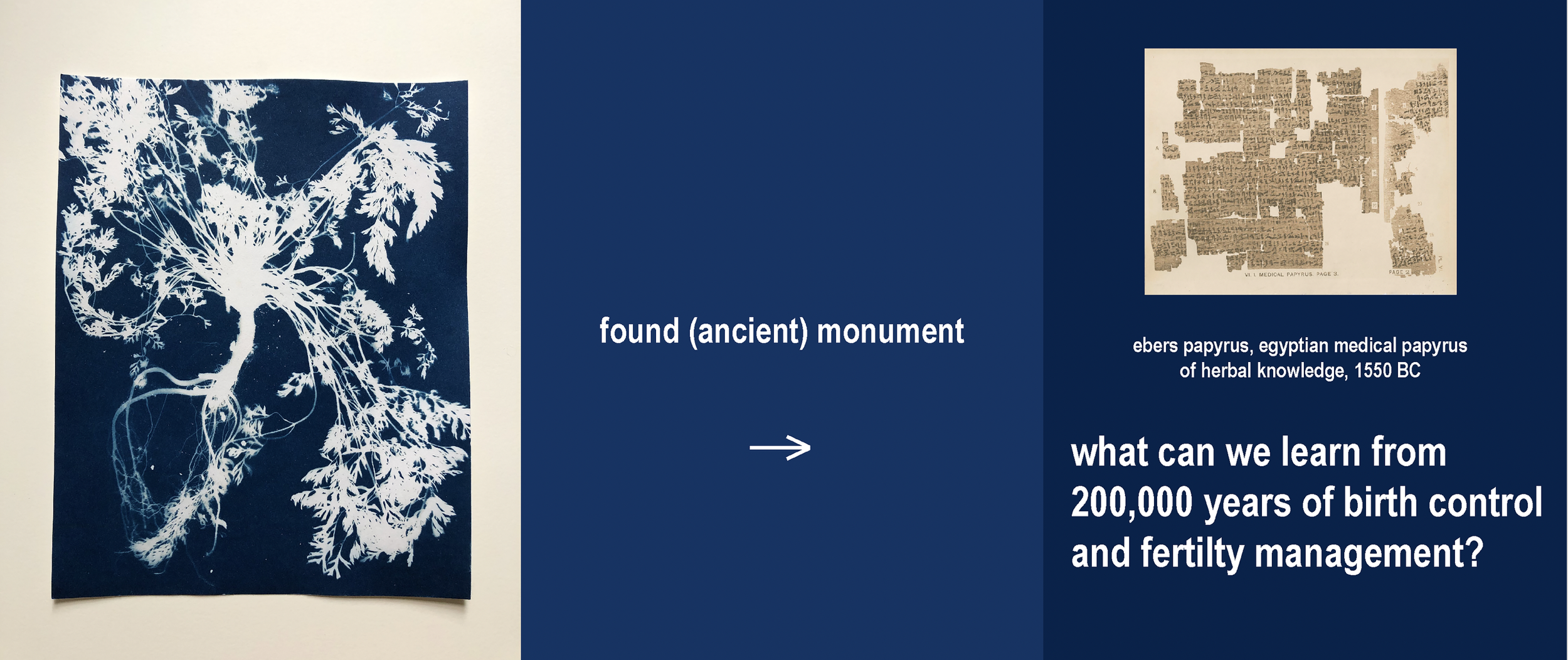 Screen Shot 2024-10-24 at 12.01.20 PM.png