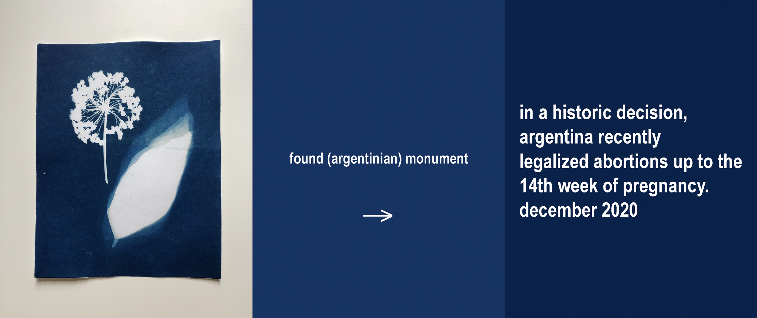 Screen Shot 2024-10-24 at 12.02.04 PM.png