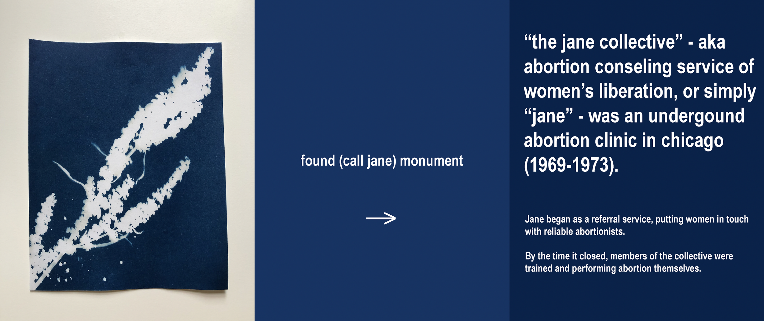 Screen Shot 2024-10-24 at 12.02.50 PM.png