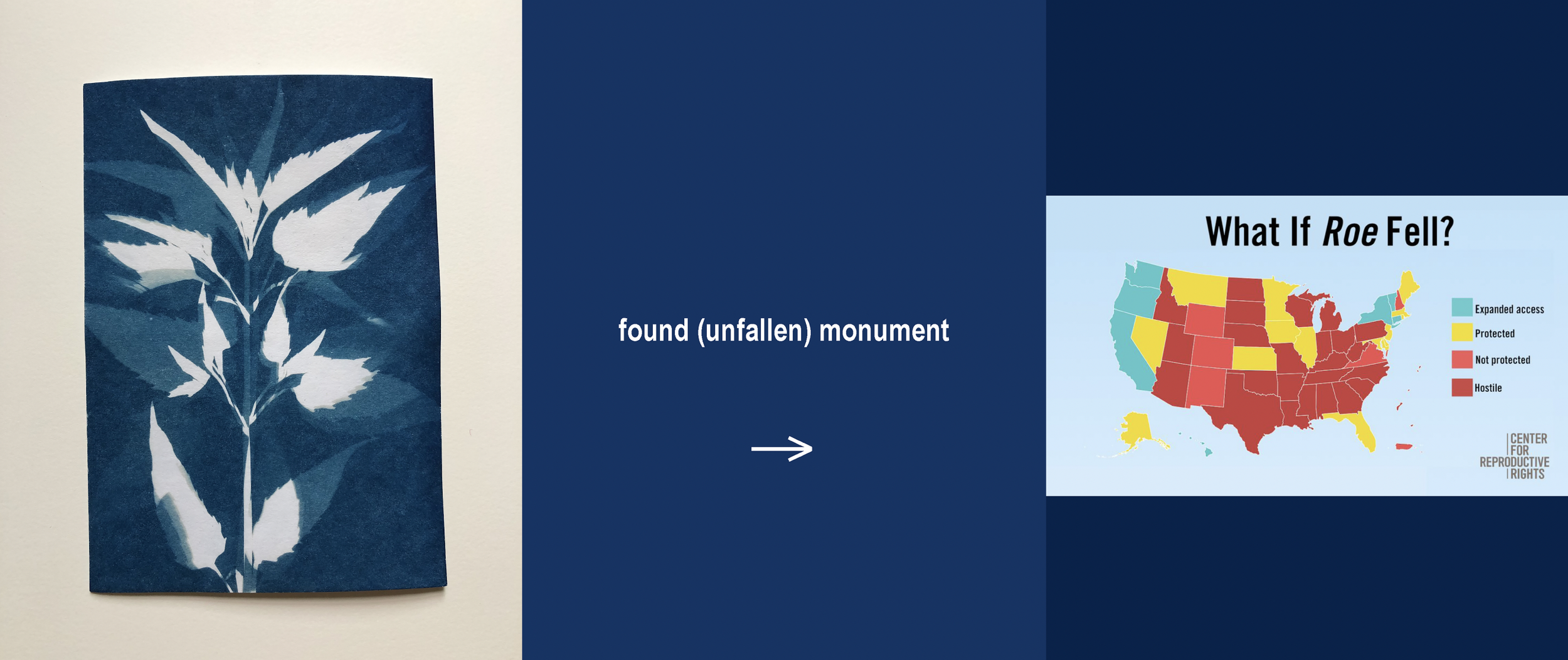 Screen Shot 2024-10-24 at 12.03.35 PM.png