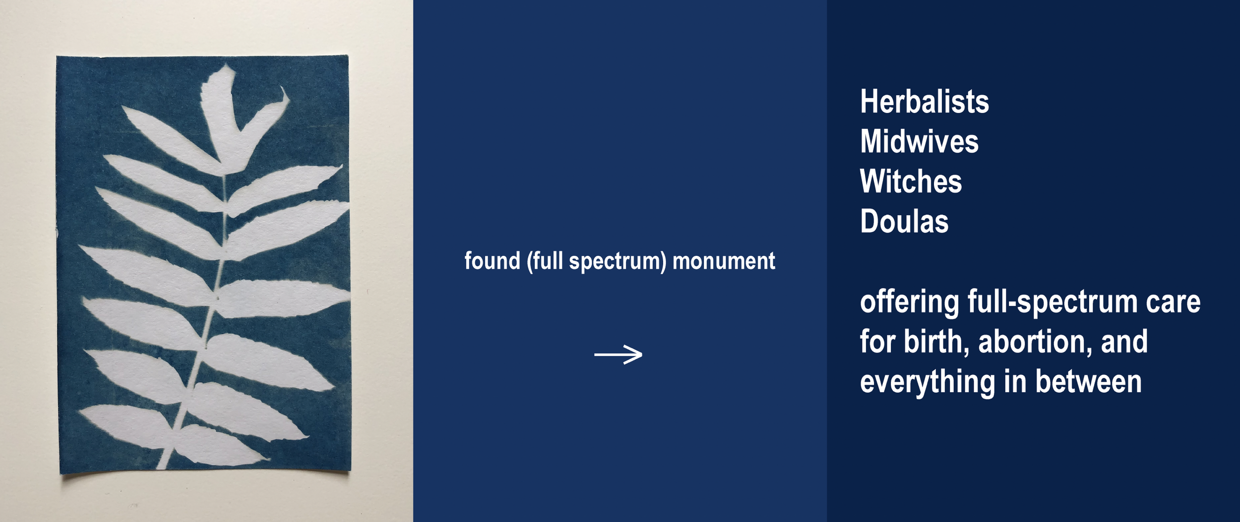 Screen Shot 2024-10-24 at 12.04.11 PM.png