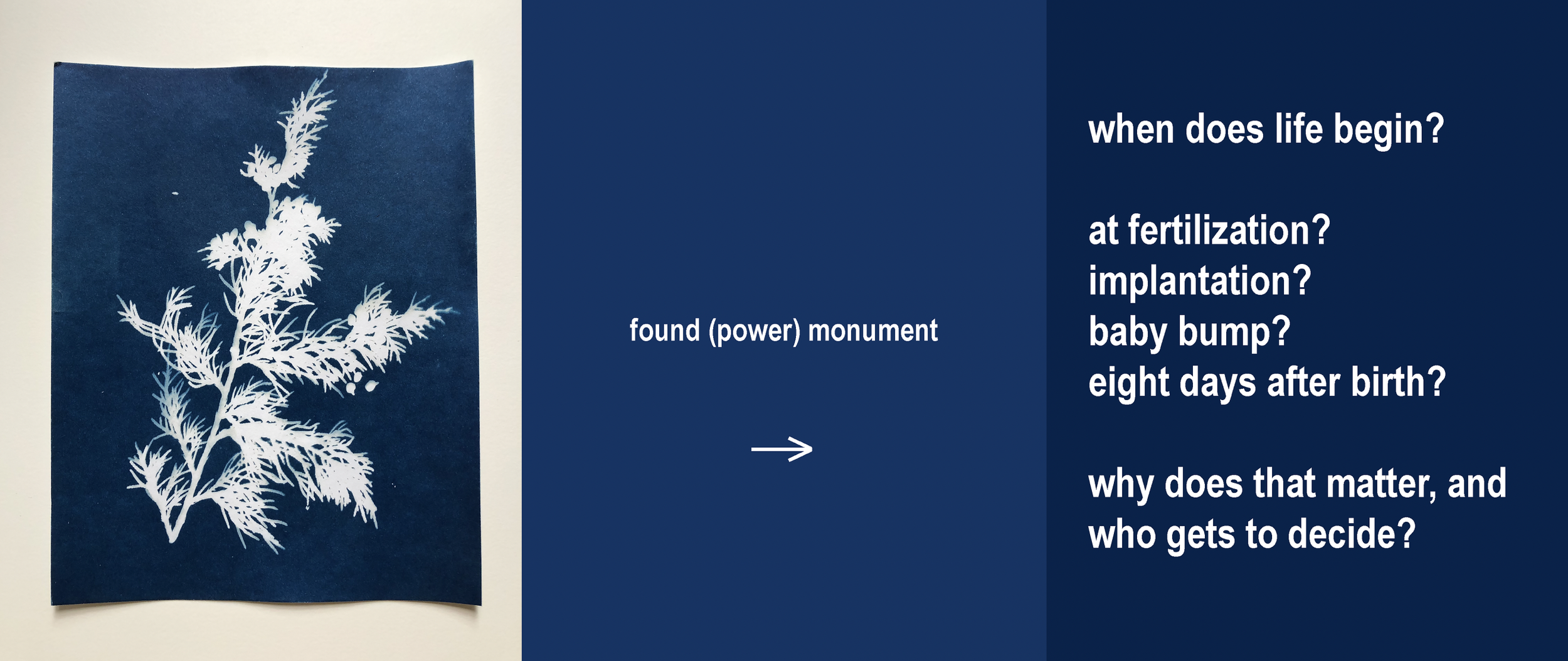 Screen Shot 2024-10-24 at 12.04.53 PM.png