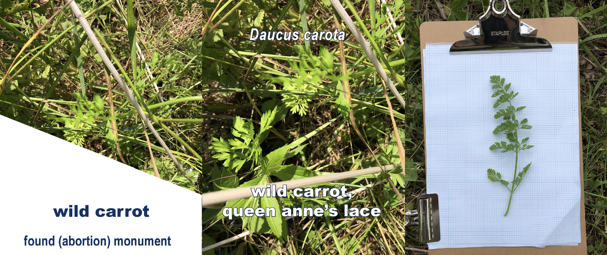 Screen Shot 2024-10-24 at 12.19.37 PM.png