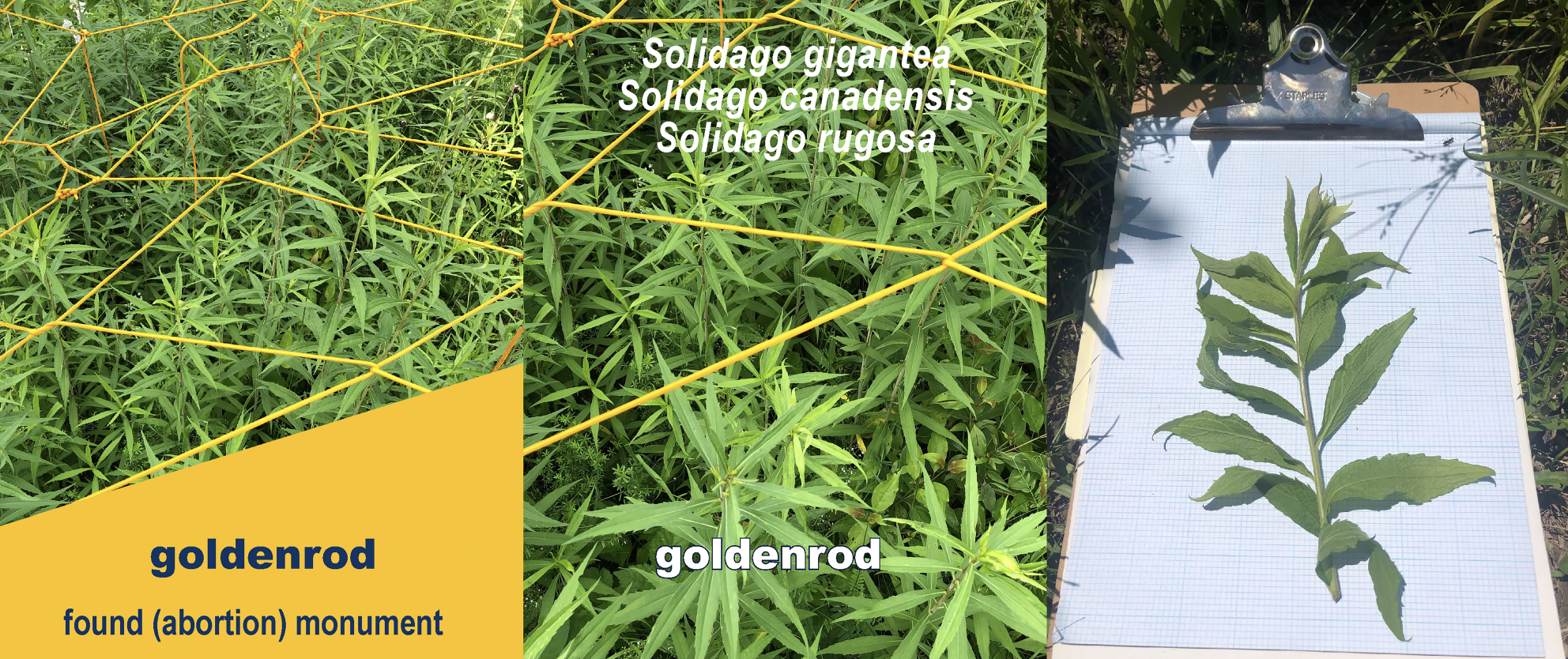 Screen Shot 2024-10-24 at 12.19.00 PM.png