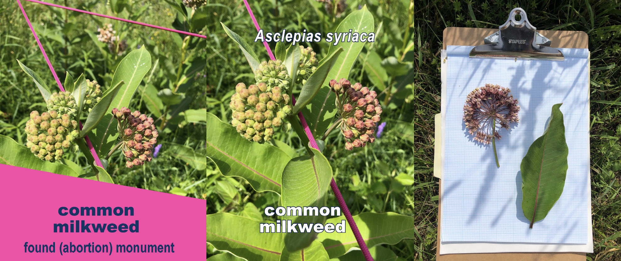 Screen Shot 2024-10-24 at 12.20.16 PM.png