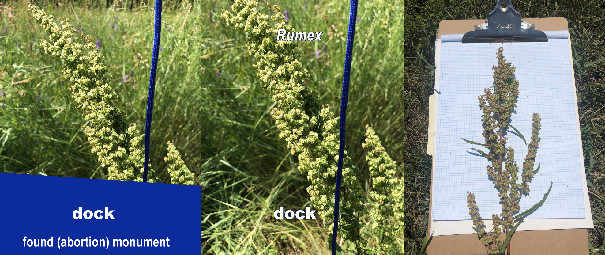 Screen Shot 2024-10-24 at 12.20.54 PM.png