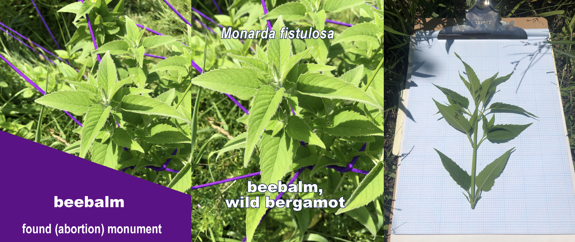 Screen Shot 2024-10-24 at 12.21.36 PM.png