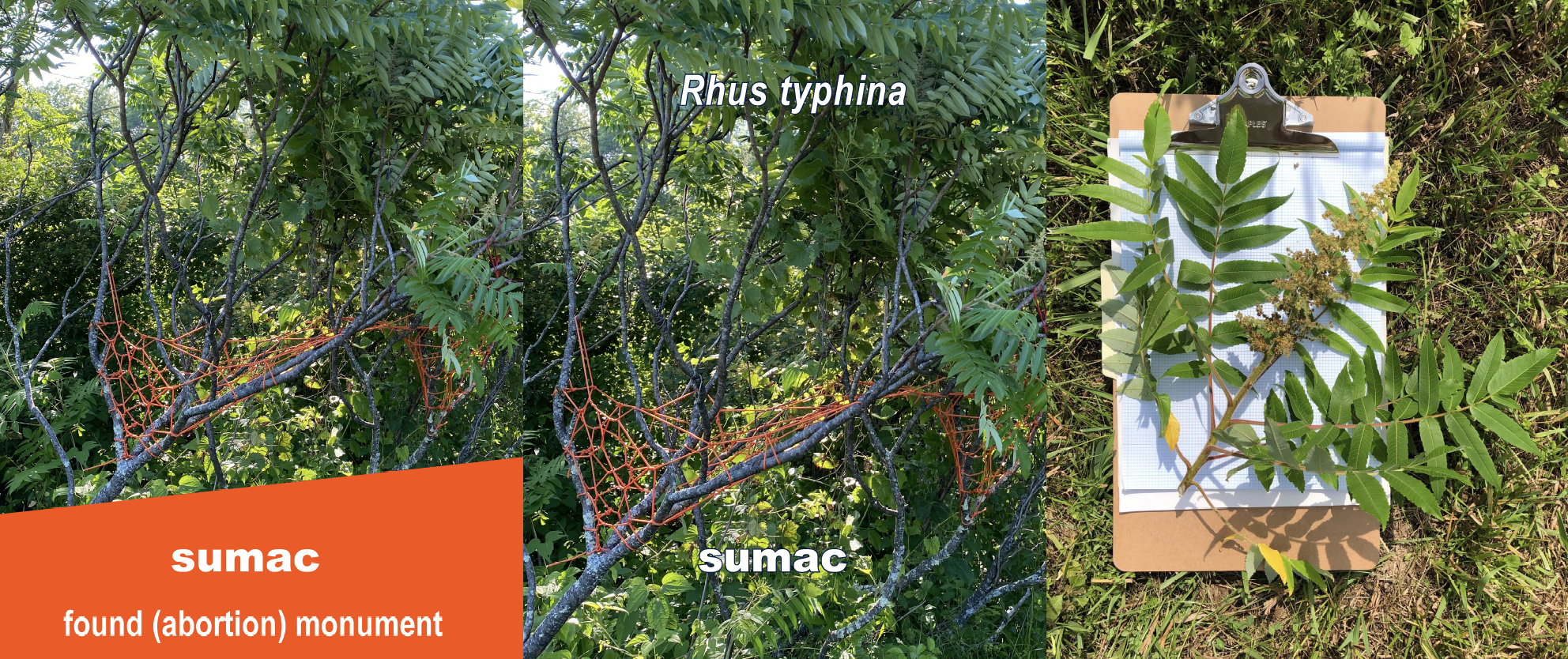 Screen Shot 2024-10-24 at 12.22.12 PM.png