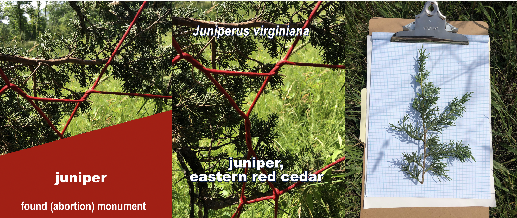 Screen Shot 2024-10-24 at 12.22.52 PM.png