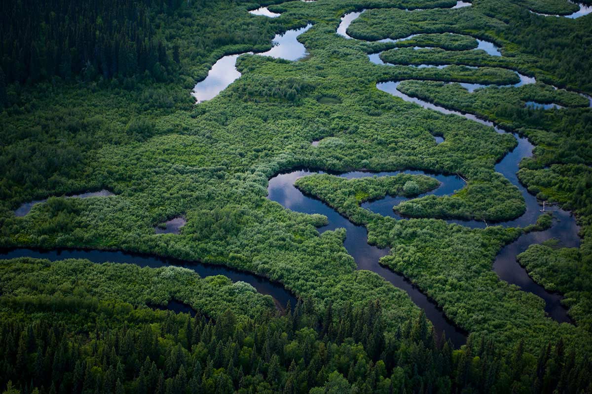 Wetland south of Davie Lake. According to GPS coordinates, the proposed Enbridge pipelines would be built less than 0.5 km from this location. British Columbia, Canada. © Neil Ever Osborne