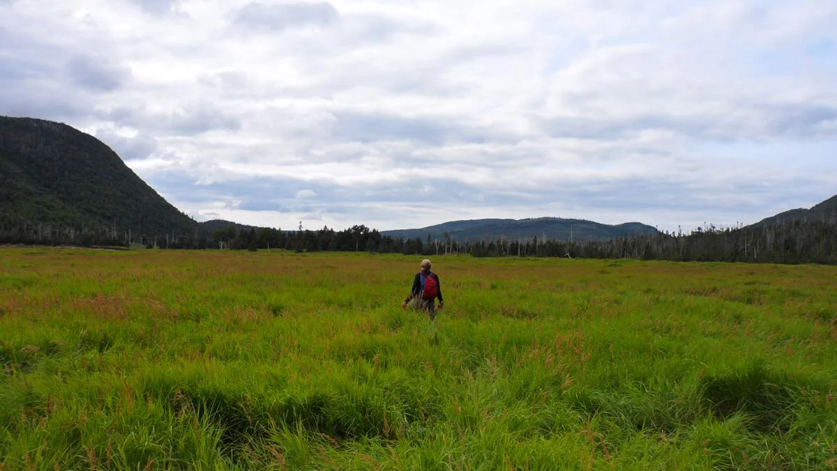 In the field