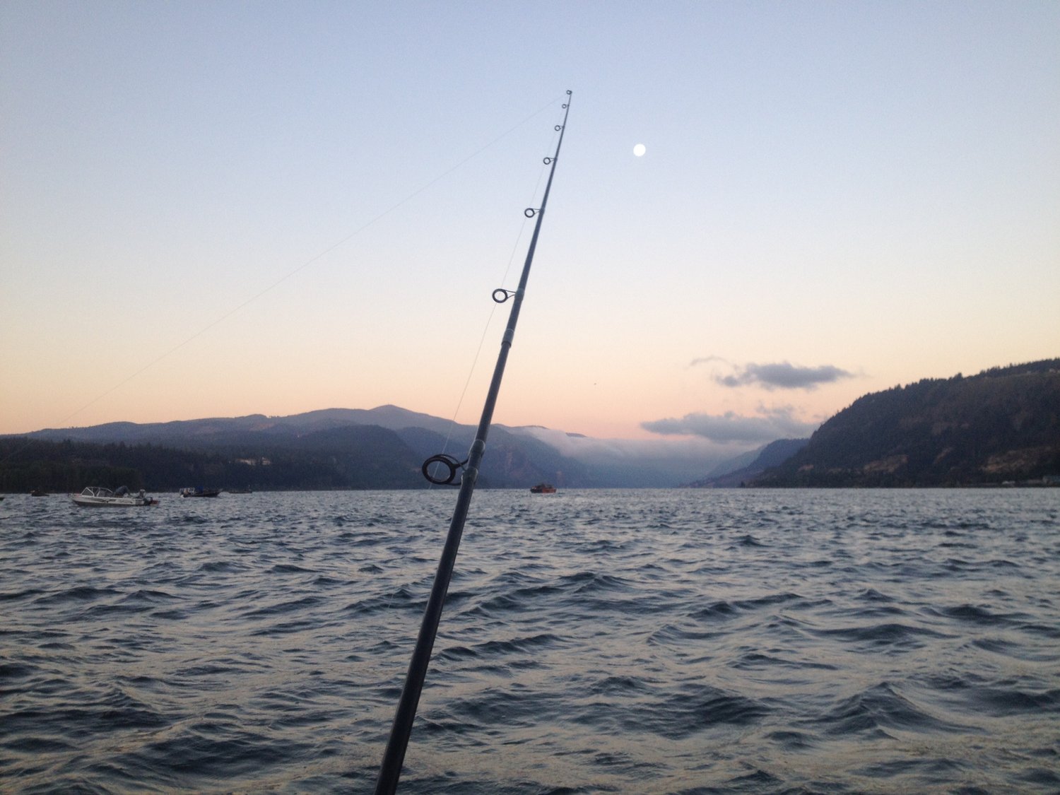 Gates Acupuncture Chinese Medicine, herbal medicine, herbs, wellness, health, nutrition