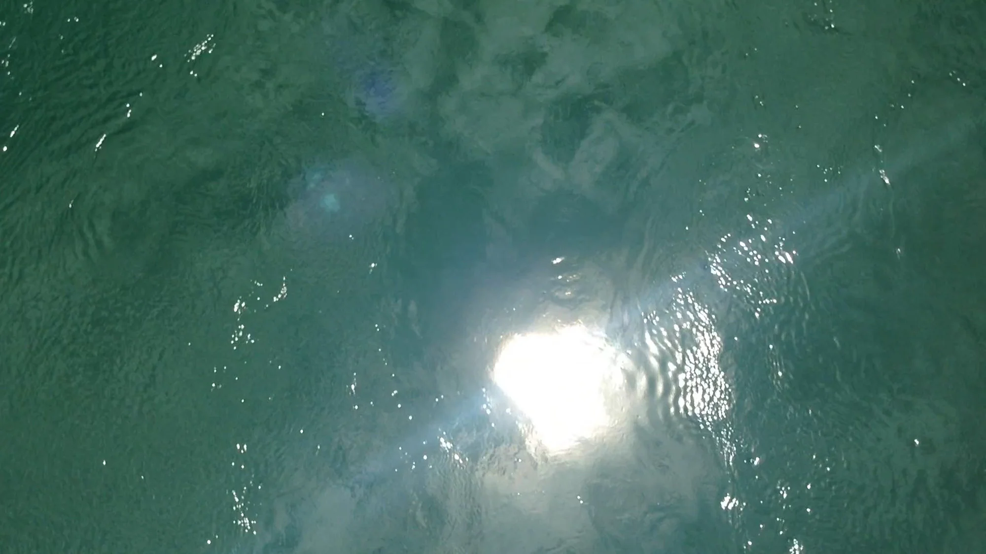 Room_8_13Water_00_13_47_27_Still047.jpg