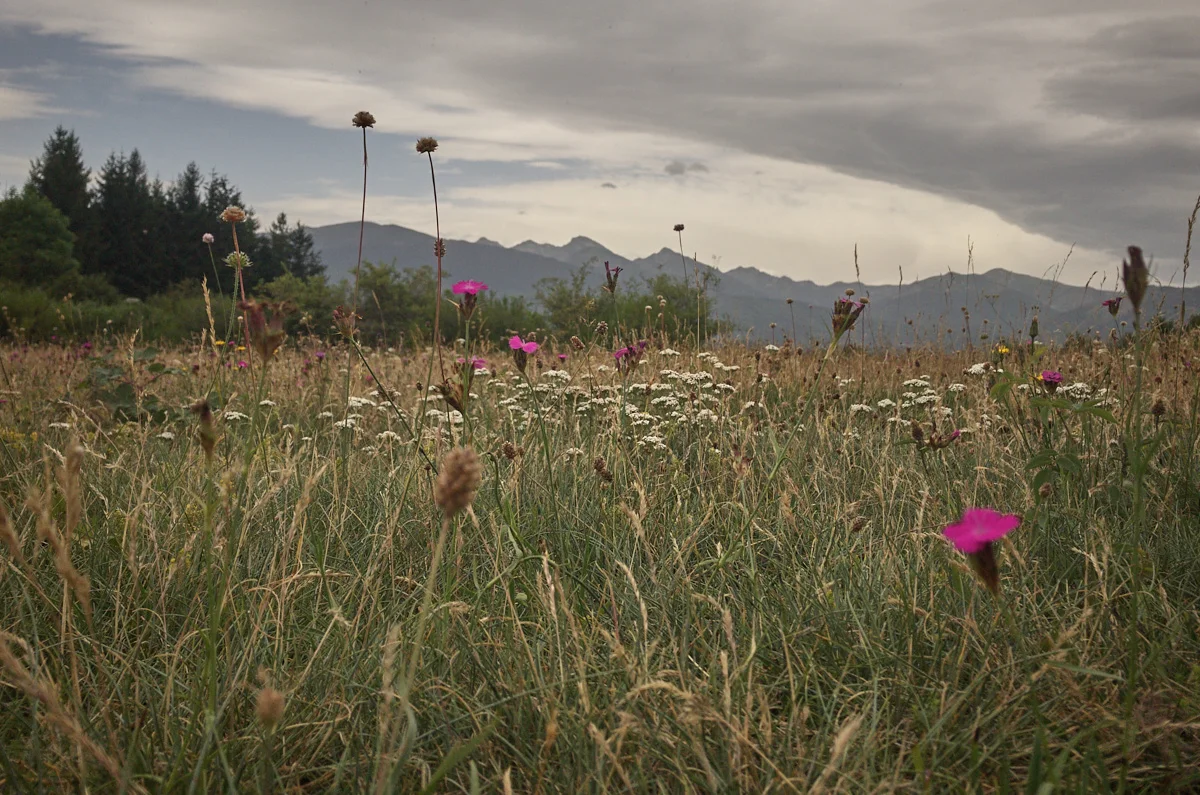 203_052_20170812_sy_pyrenees_26.jpg