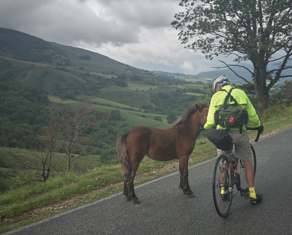 660_33_20170812_sy_pyrenees_145.jpg