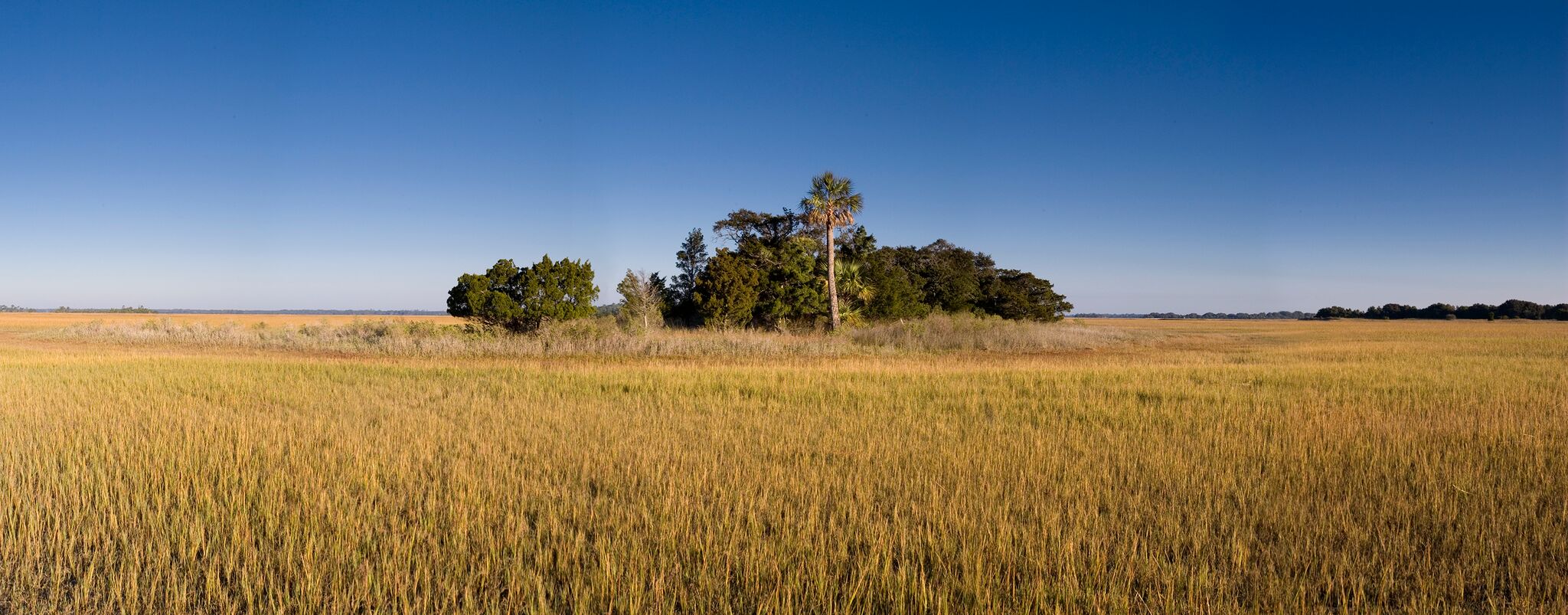 Kiawah Island #31231
