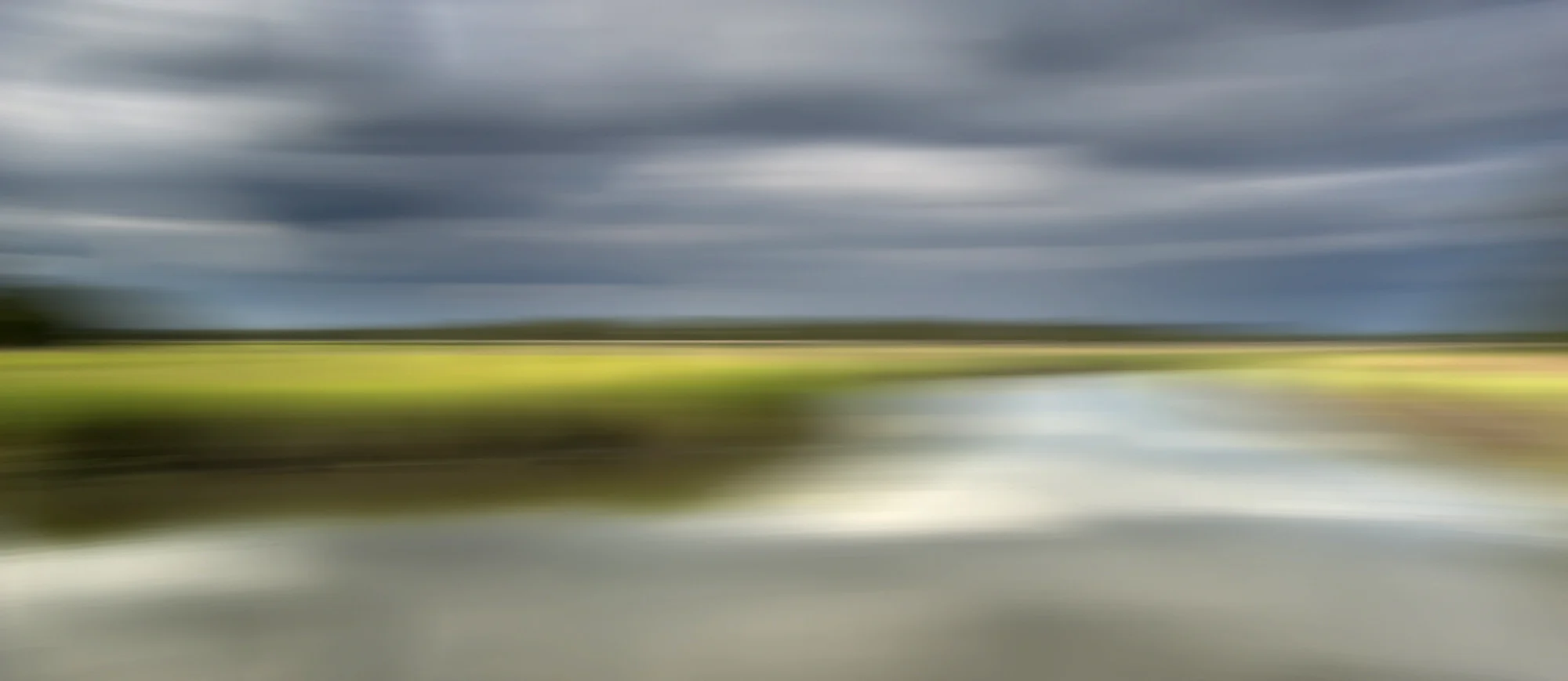 Palmetto Island '12255'