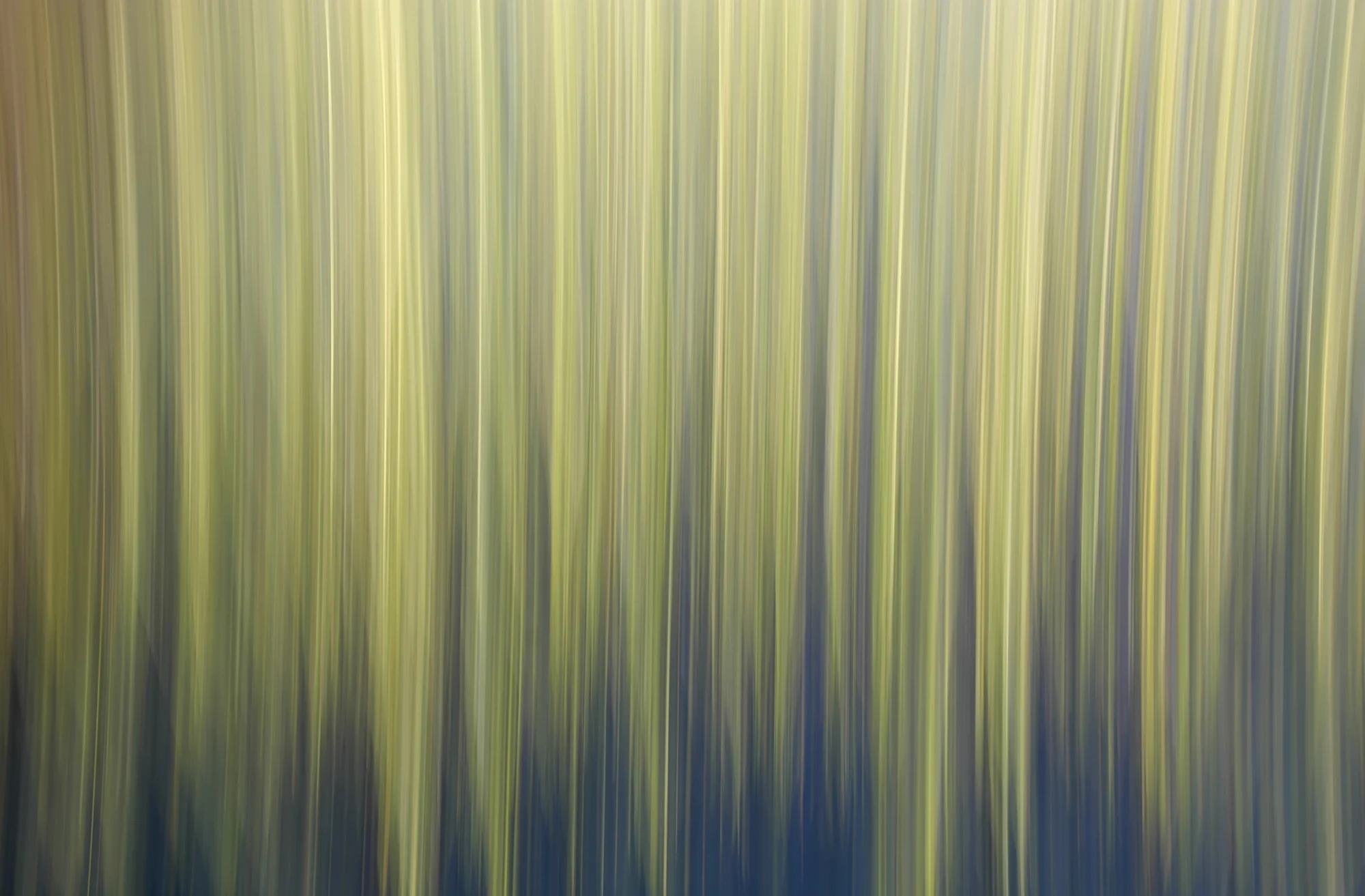 No.39 Marsh Reeds Summer #3318