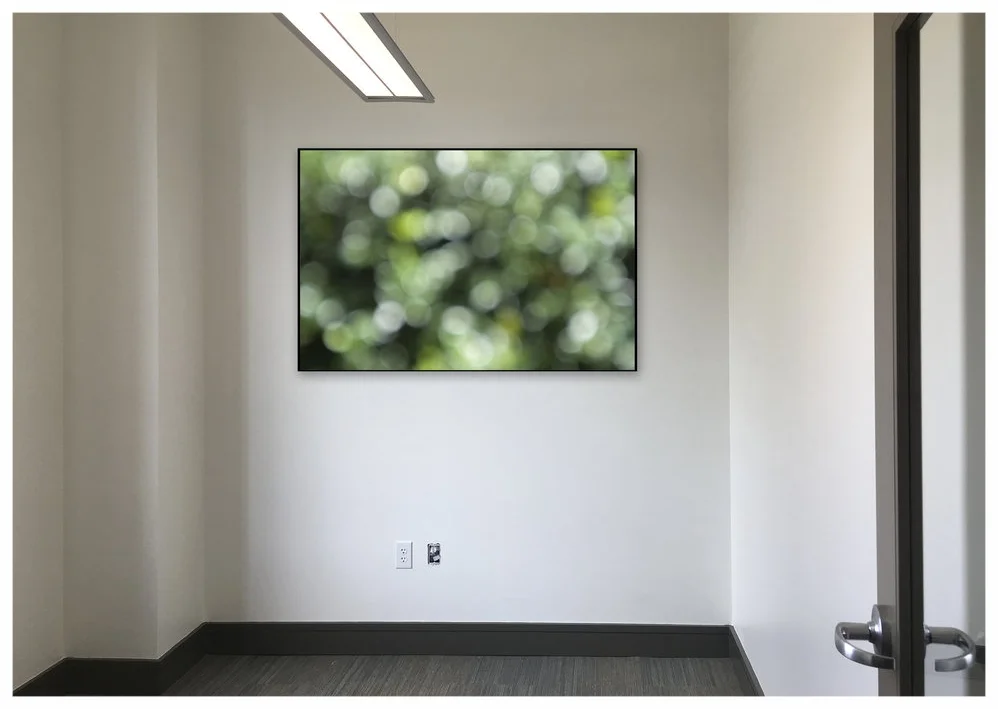 34-02_Dr+Office+last_100%22+wide.jpg